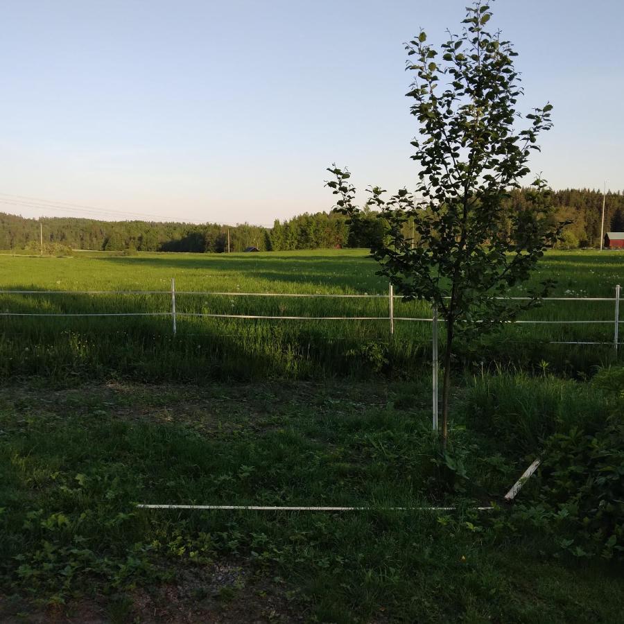 Countrycabin Bergslagen Stuga Ramsberg ภายนอก รูปภาพ